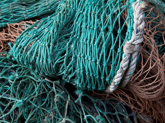 fishing nets