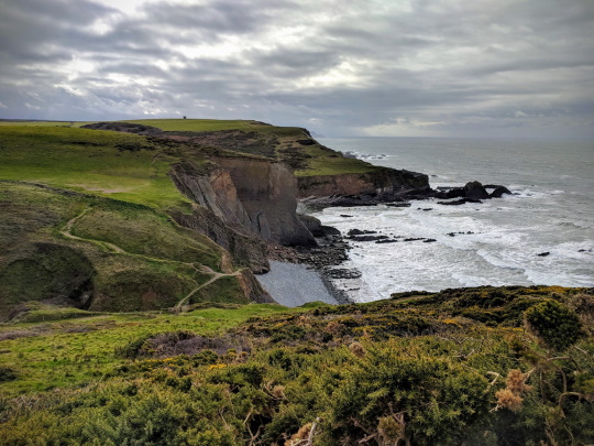 coastal footpath near hartland devon