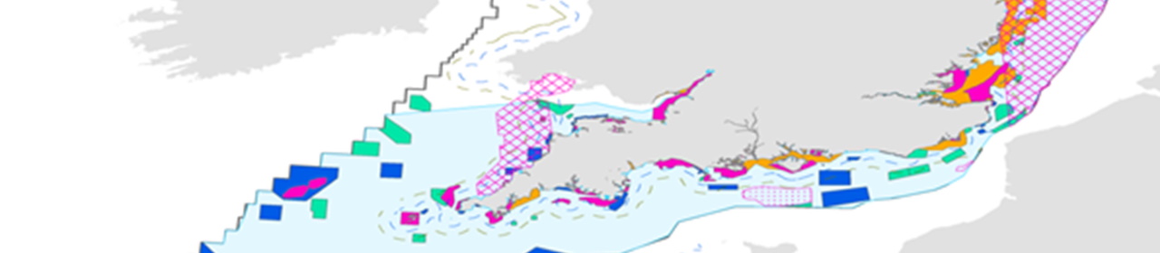 fish displacement map