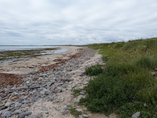 Sinclair's Bay cable landfall assessment