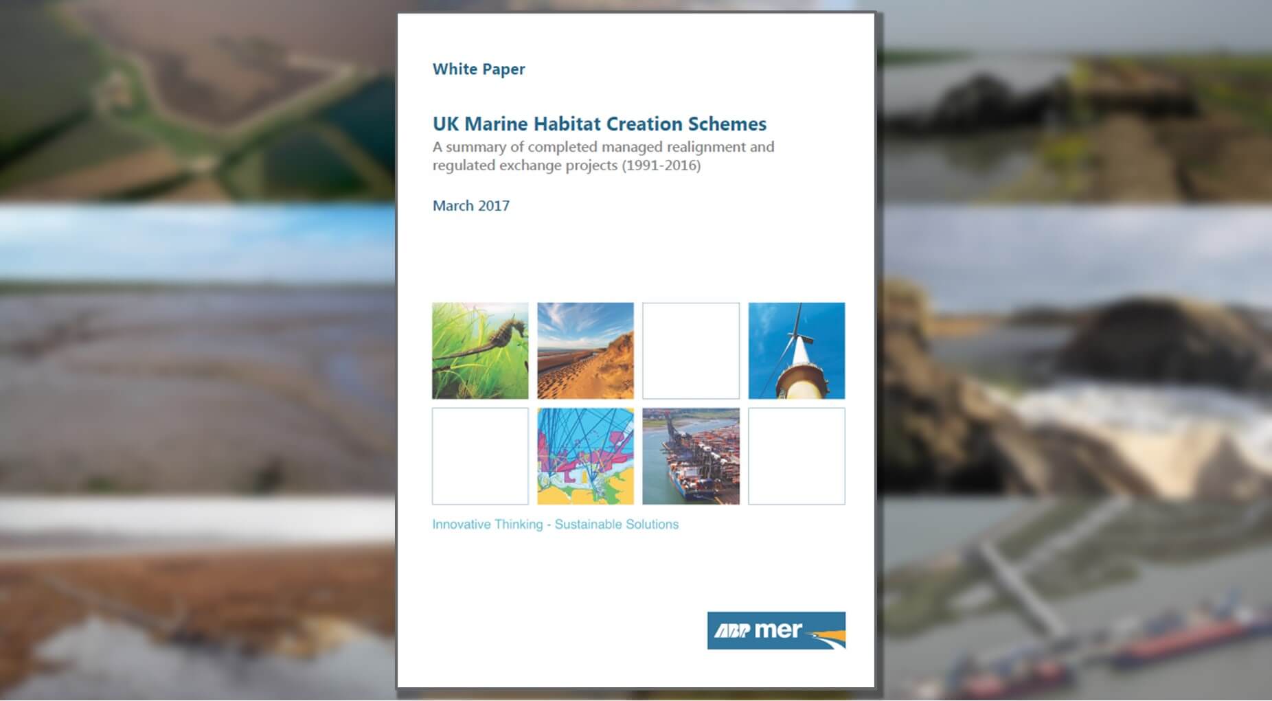 coastal habitat creation