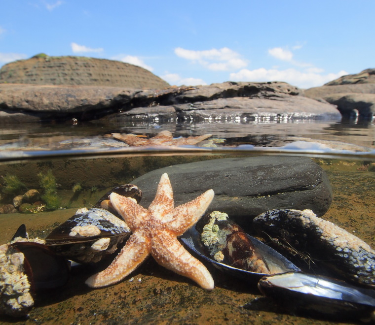 You might also like...