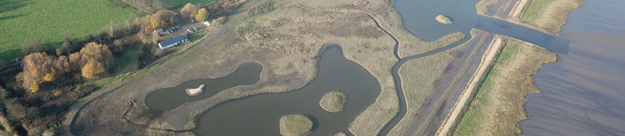 skinflats low tide aerial