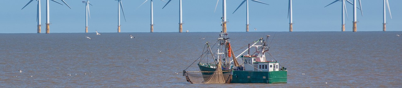 Fishing vessel and offshore wind turbines
