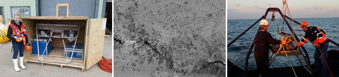 Various photos from ABPmer bream nesting surveys