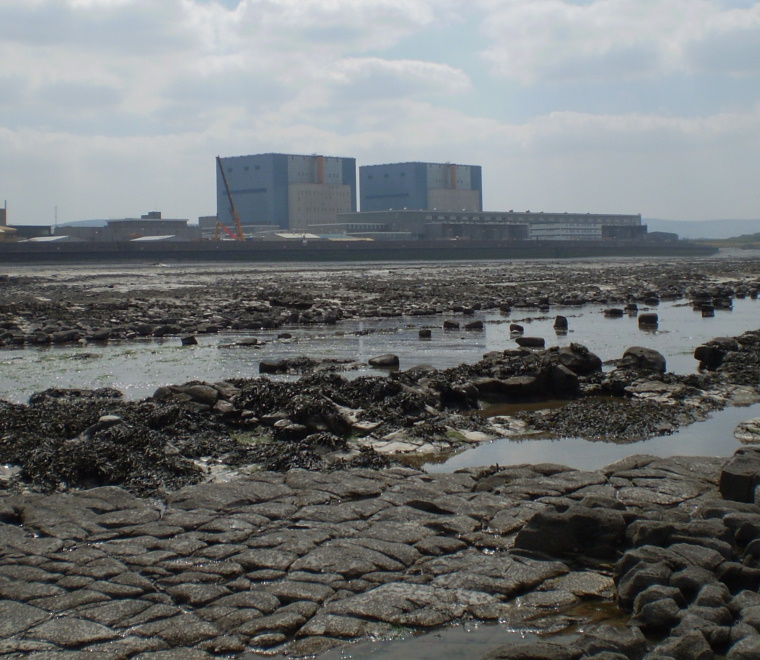 Power station environmental risk assessments