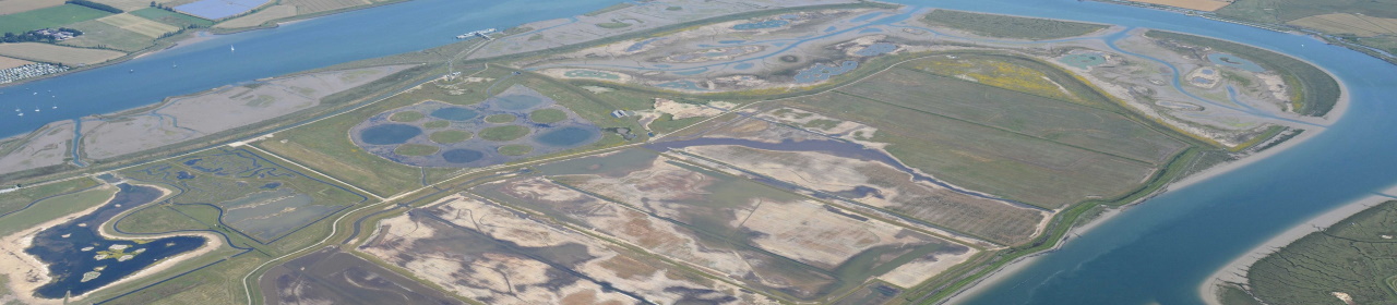 wallasea-wild-coast-aerial.jpg (1)