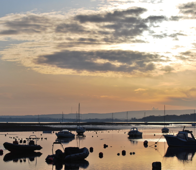 You might also like...