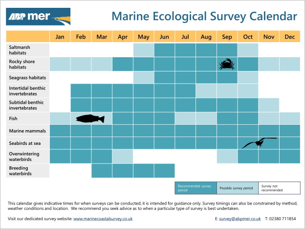 ecological-survey-calendar-abpmer-thumbnail.jpg
