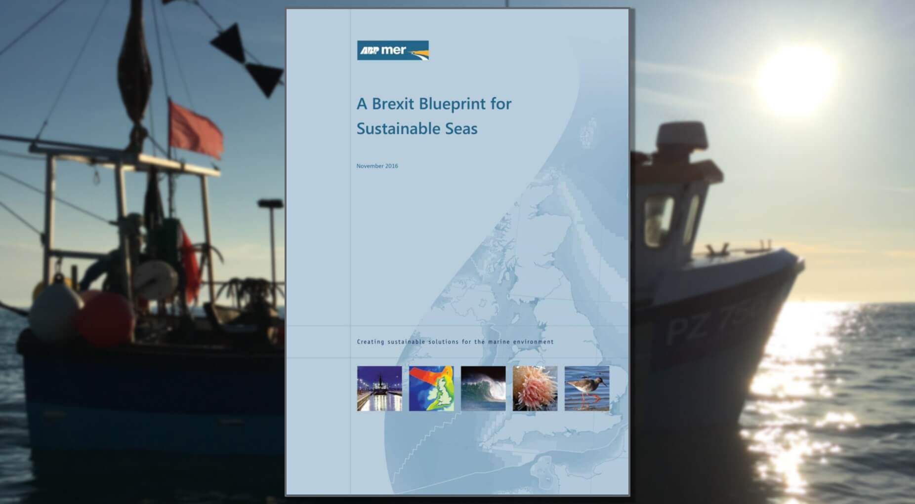 A Brexit Blueprint for Sustainable Seas