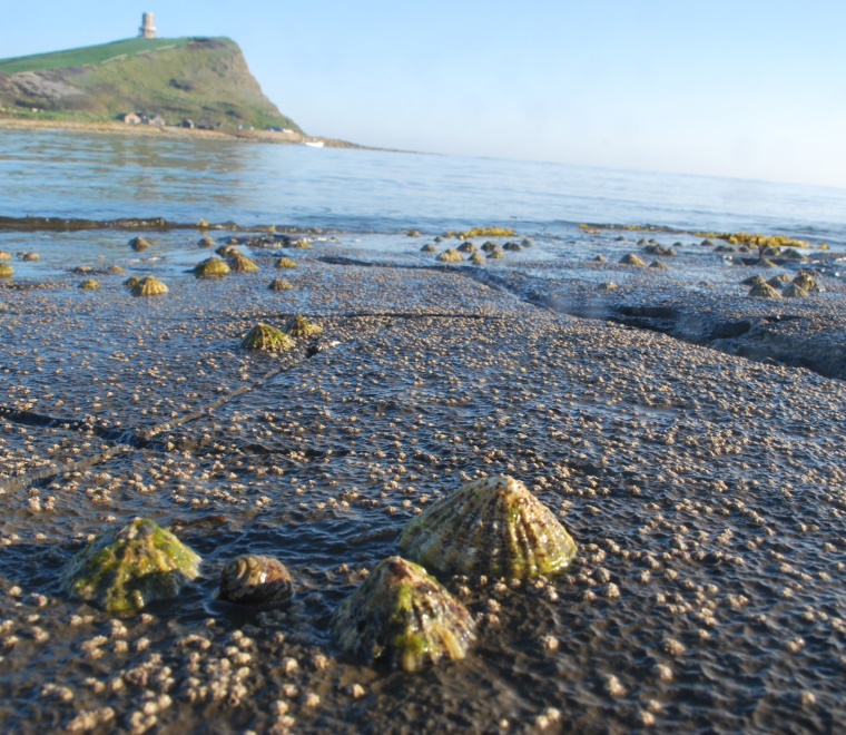 You might also like...